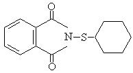 s2.jpg